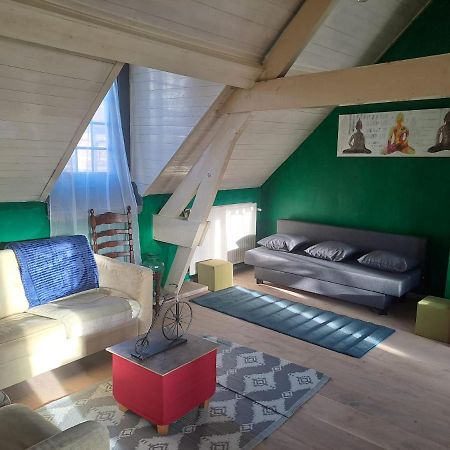 The Green Retromodern Duplex Apartment Antwerpen Bagian luar foto